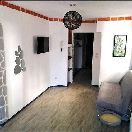 Appartement T2 Quartier Chateau De ポー エクステリア 写真